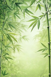 清幽竹林 绿意盎然