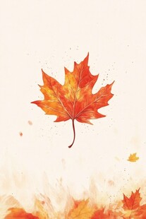 飘落的绚丽枫叶