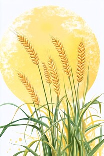 金黄麦穗映暖阳