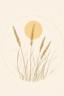 夕阳下的麦穗与野草