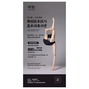 舞蹈机构培训宣传招生海报