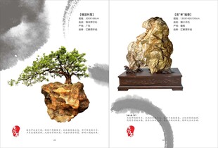 藏石画册