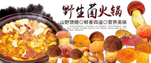 野生菌火锅