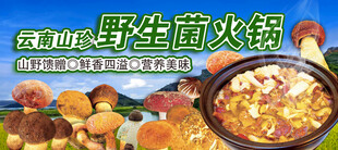 野生菌火锅