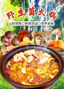 野生菌火锅