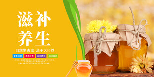 蜂蜜滋补养生好物