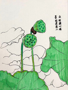 手绘莲蓬写意画