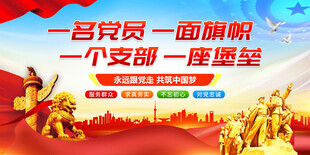 一名党员一面旗帜党建展板