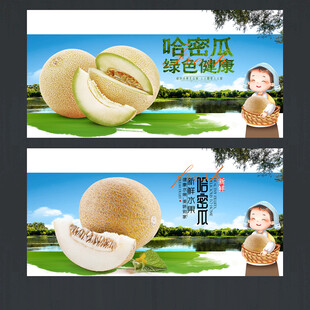 哈密瓜
