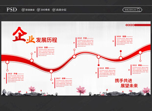企业发展历程