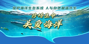 关爱海洋