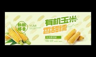 玉米海报