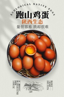 土鸡蛋美食宣传活动海报