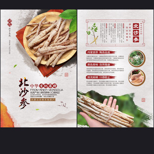 北沙参