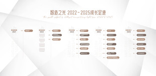 企业发展历程