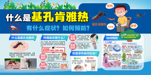 基孔肯雅热