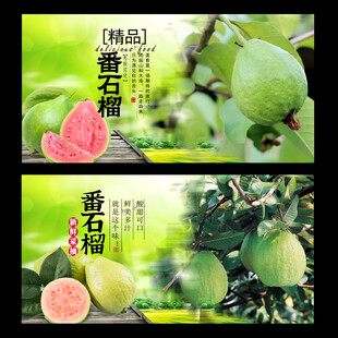 番石榴