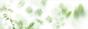 雾气磨砂膜效果绿植贴图