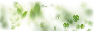 雾气磨砂膜效果绿植贴图