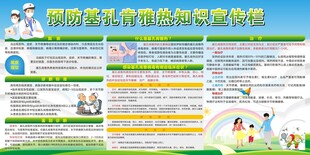 基孔肯雅热