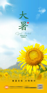 大暑海报 二十四节气