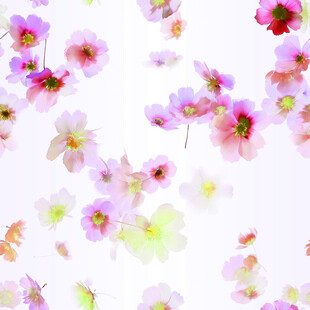 缤纷花朵背景图