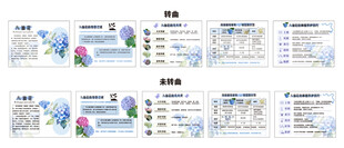 绣球花