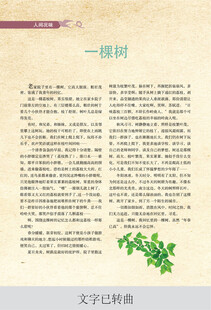 一棵树文章页面展示