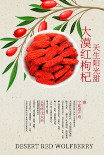 大漠红枸杞活动宣传海报