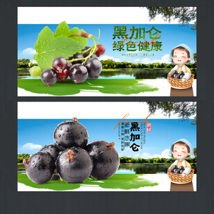 黑加仑