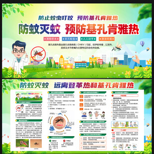 基孔肯雅热