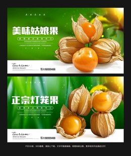 灯笼果