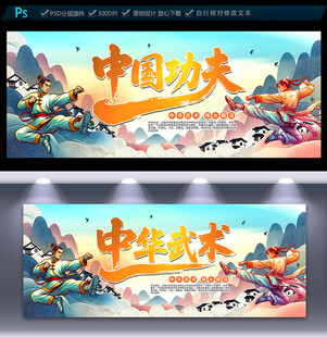 中国功夫武术