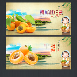 枇杷