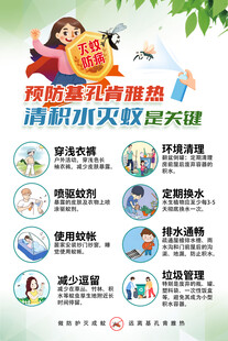 基孔肯雅热