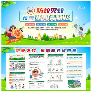 基孔肯雅热