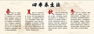 四季养生法宣传页展示