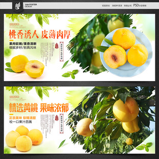 黄桃海报