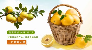 柚子海报