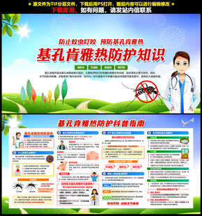 基孔肯雅热
