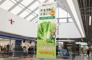 生菜灯箱吊幔
