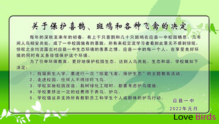 保护鸟类