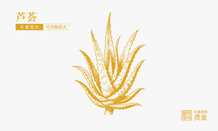 芦荟