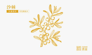 沙棘果