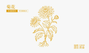 菊花