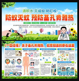 基孔肯雅热
