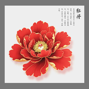 牡丹