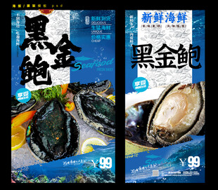 黑金鲍鱼