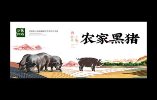 黑猪海报