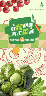 蔬菜海报